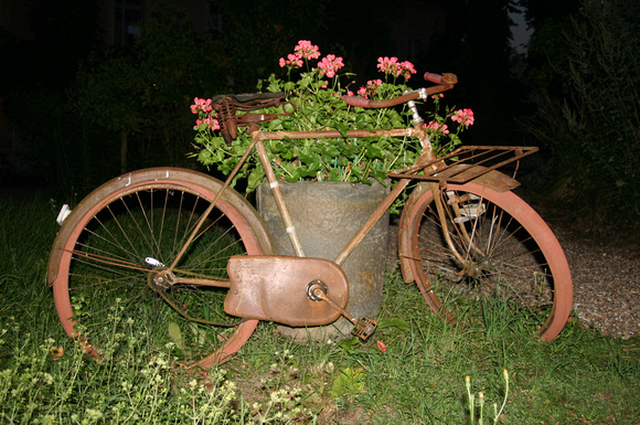 1733_Old Old Bicycle