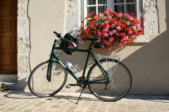 0555_Flowered Bicycle